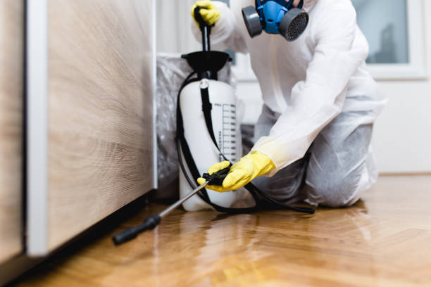 Reliable Vine Grove, KY Pest Control Solutions