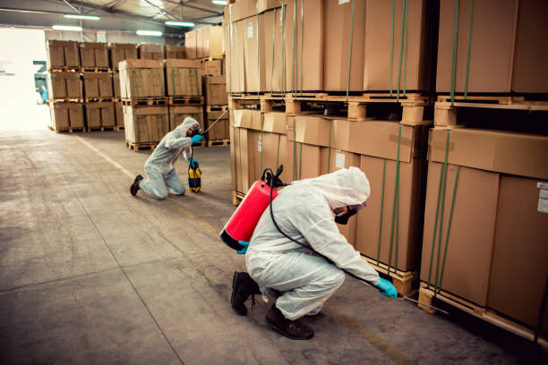 Pest Control Cost in Vine Grove, KY