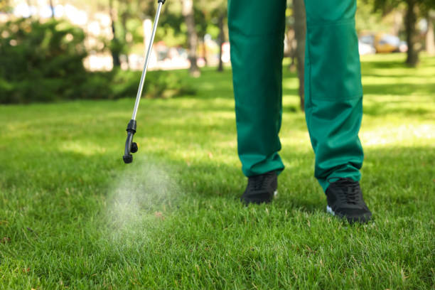 Best Ant Control Services  in Vine Grove, KY
