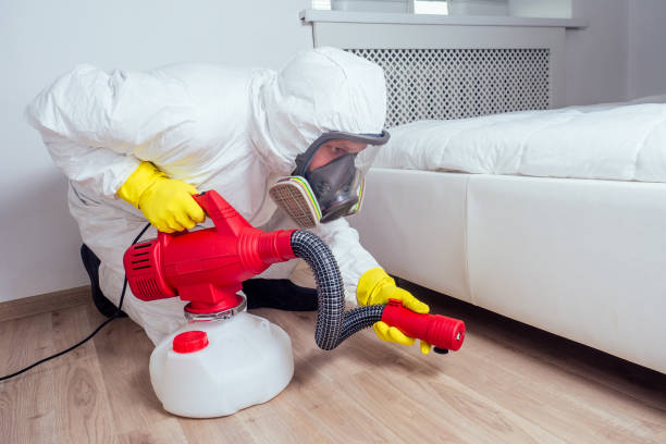Pest Prevention Services in Vine Grove, KY