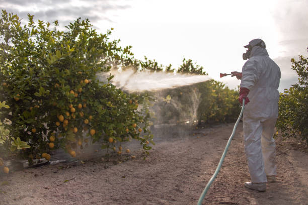 Best Exterminator Services  in Vine Grove, KY