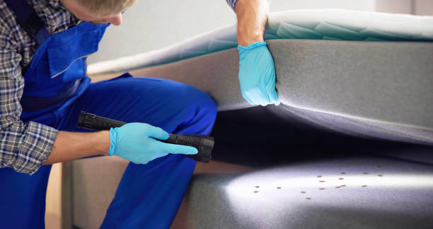 Best Local Pest Control Services  in Vine Grove, KY
