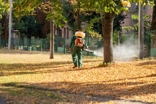 Best Emergency Pest Control  in Vine Grove, KY