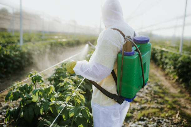 Best Pest Inspection Near Me  in Vine Grove, KY